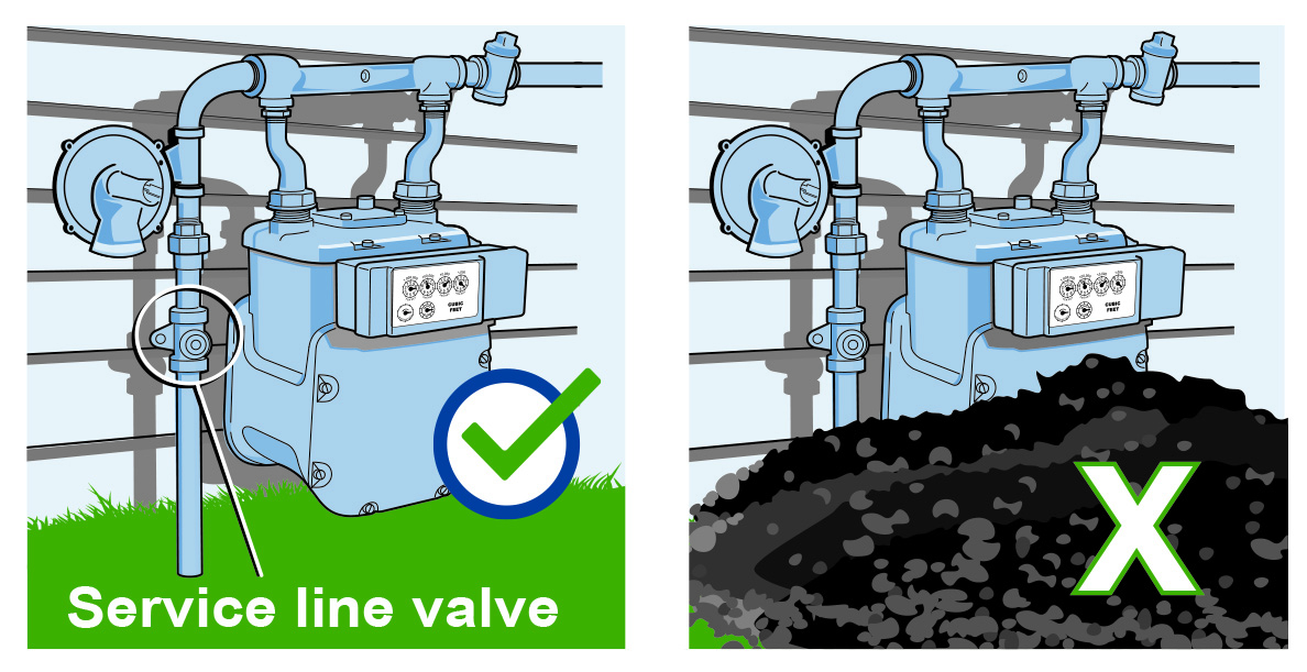 Correct and Incorrect Meter