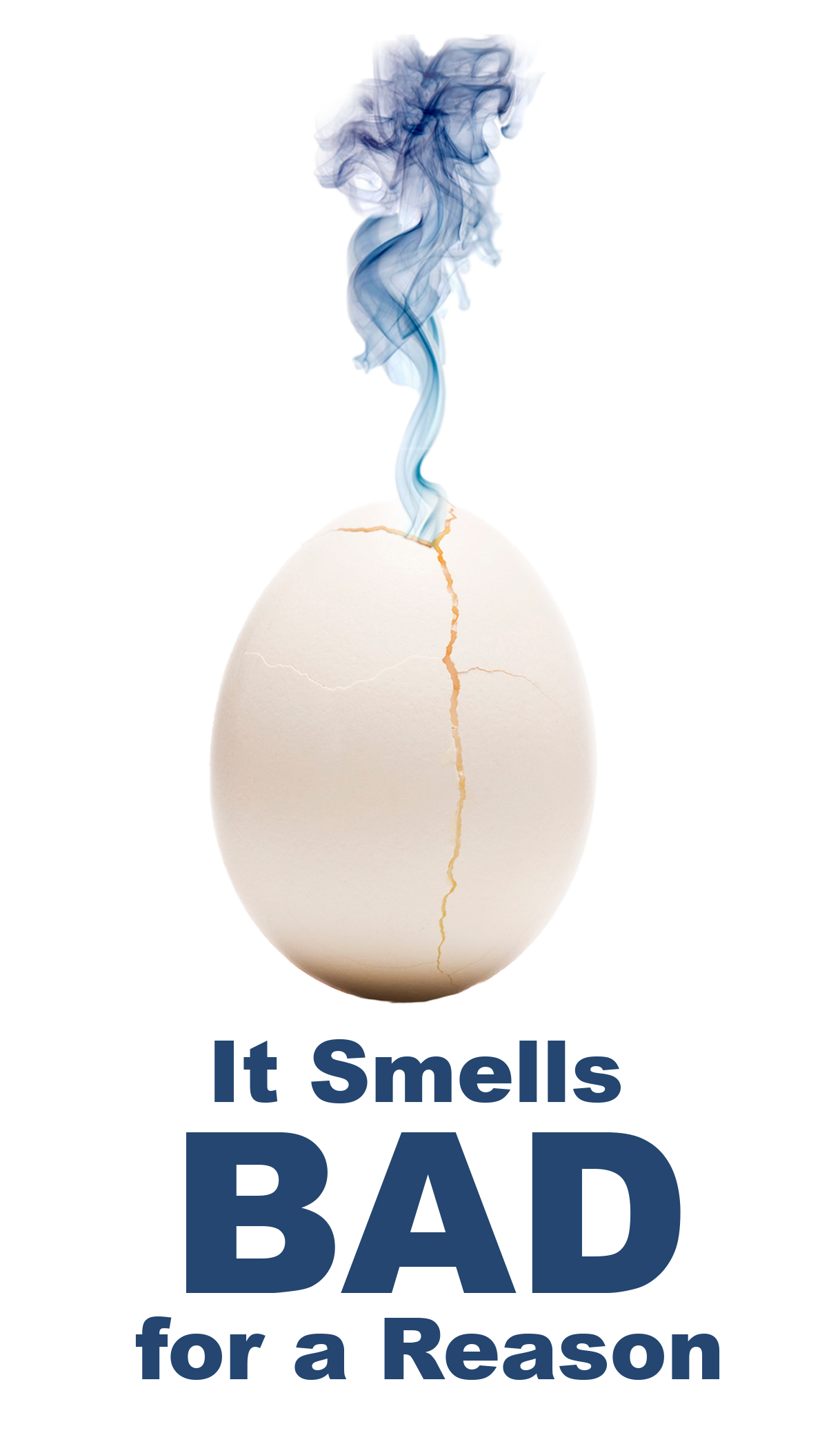 rotten egg